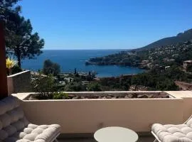 Duplex appartement,6pers, piscine, mer avec plage à 5mn ,Theoule sur Mer -Cannes