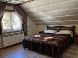 Лісова тиша номер - 1