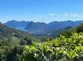 Charming House with Views in Capriasca