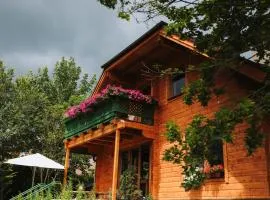 Chalet Panoramagemach Nähe Stuhleck, Semmering, Schneeberg und Rax