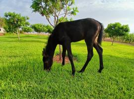 Darnamed, hotel u gradu Nador