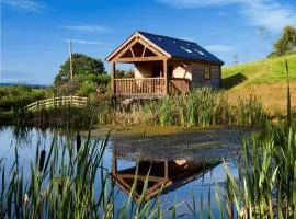 1 Bed in Llangammarch Wells oc-bn216