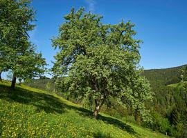 Farm Stay Gradišnik Peaceful Countryside with Homemade Breakfast, Hotel in Prevalje