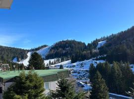L'ourson B2, Hotel in La Bresse