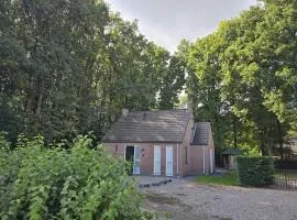 6 - Persoons Forest 117 Sauna Bungalow