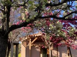 Petit Gite de la Lère