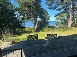 Idyllic View To The Fjord From Home