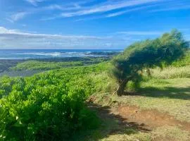 Beachfront 1 Bedroom Condo with Private Beach, Pool, Hot Tub