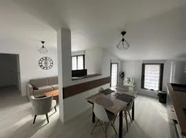 Appartement terrasse en ville