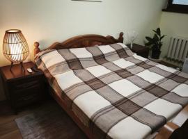 Feel Classic NEW apartment near park&lake Rascani、キシナウのホテル