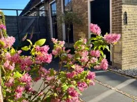 Authentiek vakantiehuisje nabij de Waddenzee