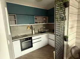 Apartman Zrenjanin