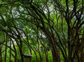 Njukiini Forest Lodge, hotel u gradu 'Embu'