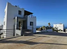 Livia - Vikles Villas