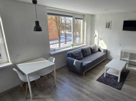 Anykščiai Center Apartment: Anykščiai şehrinde bir otel