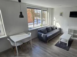 Anykščiai Center Apartment