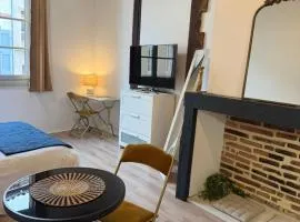 Appartement Cathédrale Albi - Centre historique