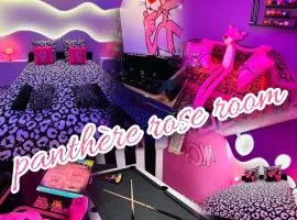 Panthere Rose Jacuzzi, Billard et Ecran Cinéma