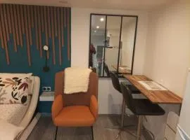 Business Studio 10 minutes de Paris et Orly