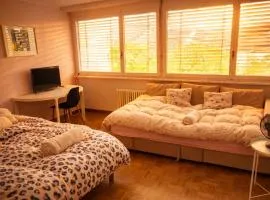 Cozy Flat in the Center of Kleinbasel