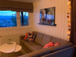 Leilighet med utsikt på solsiden – hotel w mieście Kongsberg