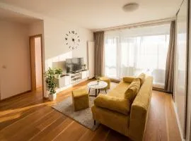 Sunny and cozy apartment in the city center with parking