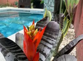 Villa Arenal Volcano & Privade pool