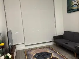 Luxury 1 bed and 1 bath executive suite