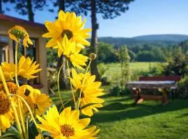 Dom na Przedgórzu-Apartamenty z widokiem na Góry Izerskie