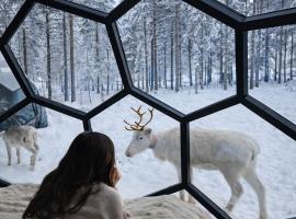 SKOG Aurora Glass Igloos, hotel a Kalix