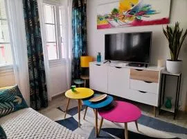 Résidence La Roseraie, loft 3 étoiles, calme et ensoleillé au pied des Pyrénées