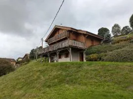 Le Grand Chalet Bellevue - parking Wifi BBQ