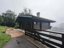 Le Petit Chalet Bellevue - COSY calme parking