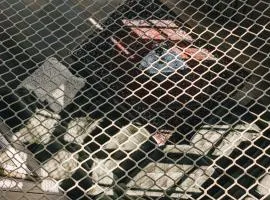 Bij Tante Hanneke- vakantiehuizen