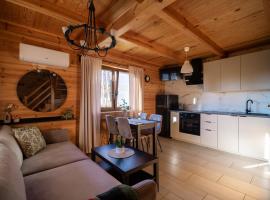 Wielewskie Wzgórze Wiele, hotel v destinaci Wiele