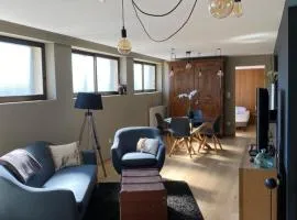 Appartement Atypique spatieux T3