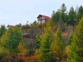 Wild Rupi - The Ridge Cottages