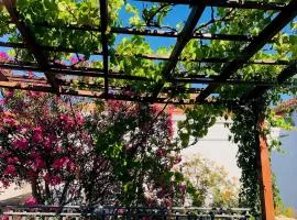 Jezera Zentrum, ganzes Haus für traumhaften Urlaub