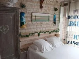 LA MAISON DES HIPPOCAMPES