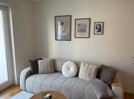 Moderne 4-Zimmer Wohnung nahe Bodensee mit Balkon, Hotel in Rorschach