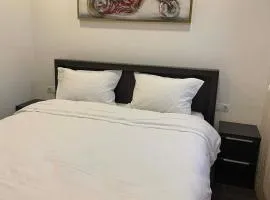 Apartament zonă centrală