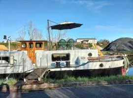 Reflets d'oise