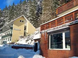 Familienapartments Wildemann