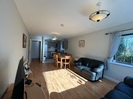 Peaceful Galway Apartment 10 Min Walk to Town