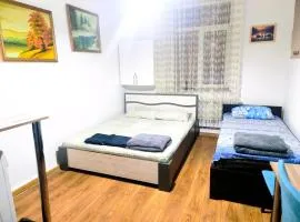 228 Parcul Ștefan cel mare și sfânt