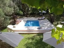 Astrakeri Gardens Villa