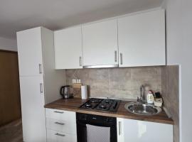 Studio apartman Vrba: Otočac şehrinde bir otel