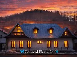 Conacul Fluturilor