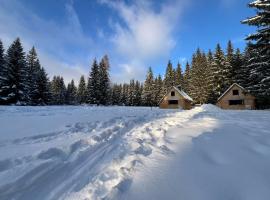 Pod Horou a za Potokom, Podbanské, hotel a Pribylina