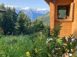 Chalet with stunning views, ideally located, deer nearby, ideal for families, not suitable for groups